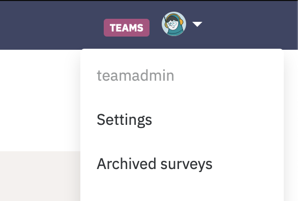 Settings Team-Admin