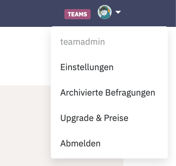 Einstellung und Team-Logo einstellen